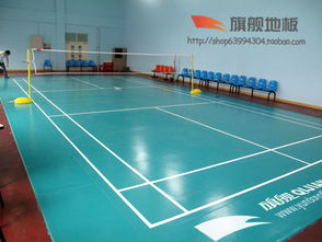 河北保定運動地板 旗艦pvc塑膠地板 室內(nèi)運動地板 公司網(wǎng)址 http www.yundongdiban.com高清圖片 高清大圖